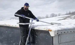 Featured image of post Die Enteisungsleiter