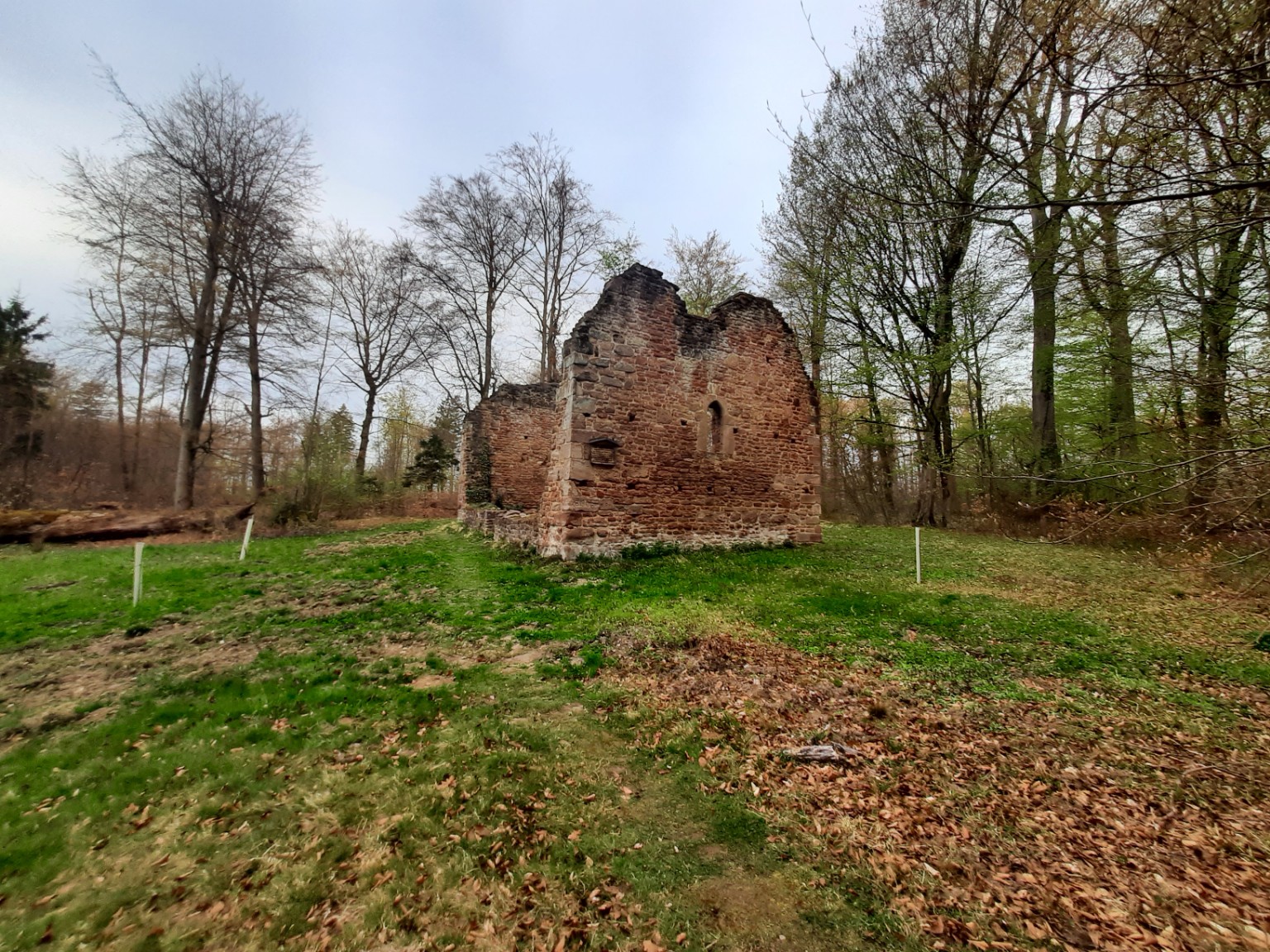 Die Leisenberger Kirchenruine – ein verschwundenes Dorf im Wald